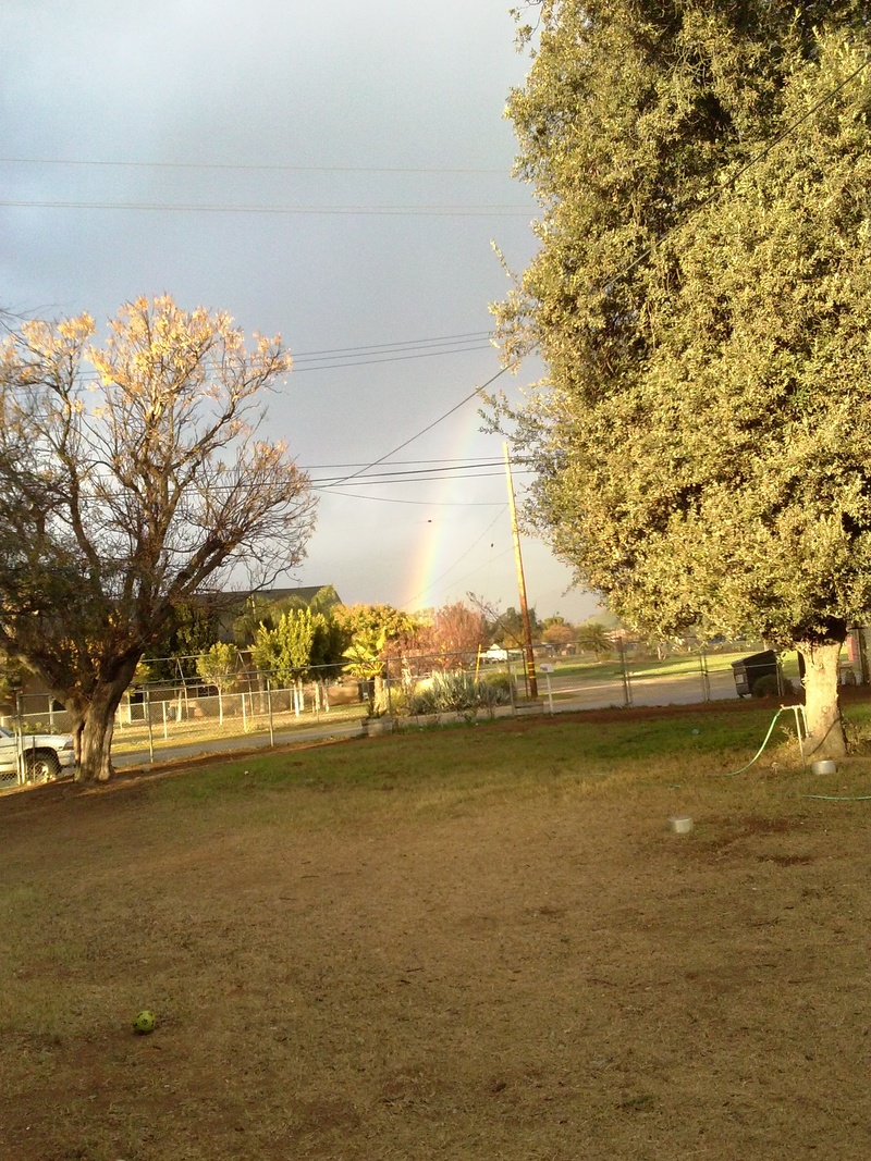 Pedley, CA: rainbow at horseshoe lake/park