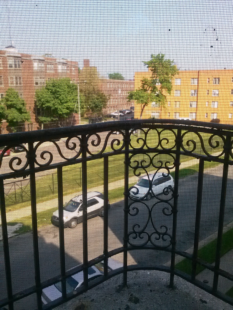 Highland Park, MI: Looking out my window &#9829;