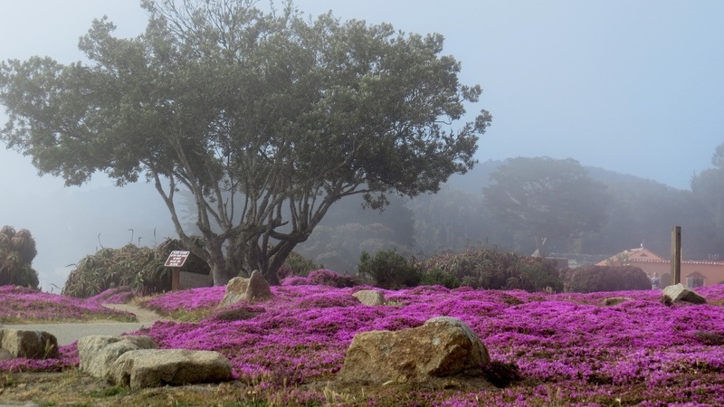 Pacific Grove Ca Sunday Morning Fog Buring Off Photo Picture Image California At City