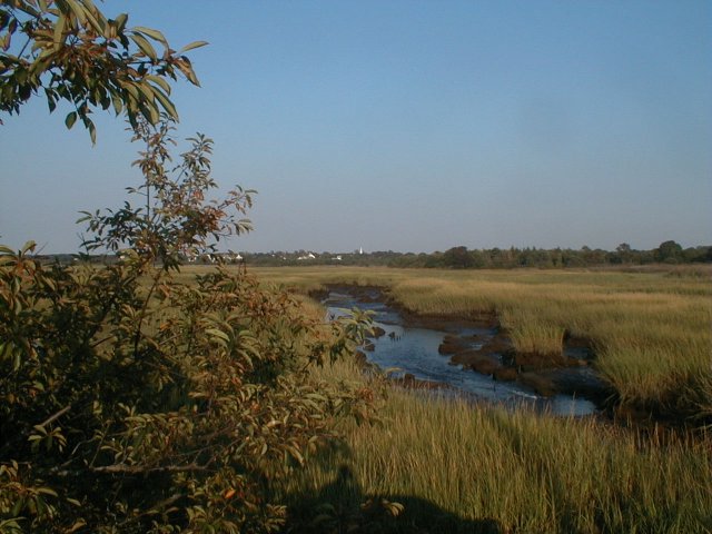 Dennis, MA : Sesuit Creek, East Dennis, Massachusetts