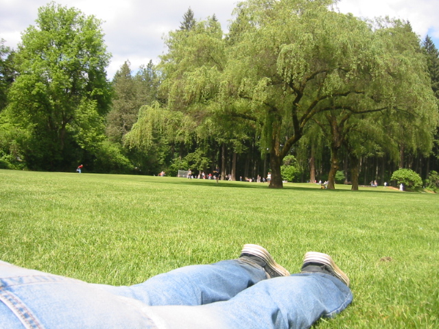Battle Ground, WA: When I used to live in BG, on my exchange program I liked to hang out on the park. This picture is at a park on a pretty day in Battle Ground.