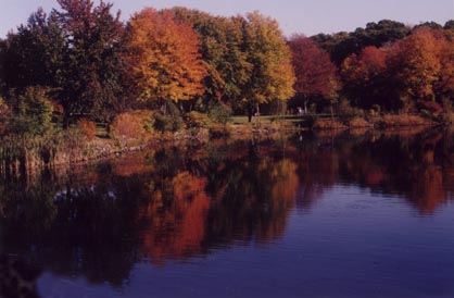 Plymouth, MA : Autumn Splendor at the Jenney Grist Mill in Plymouth, MA