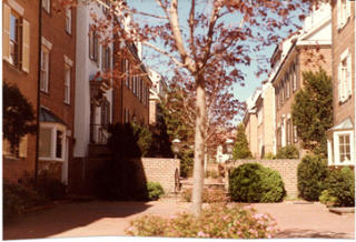 Alexandria, VA : row houses