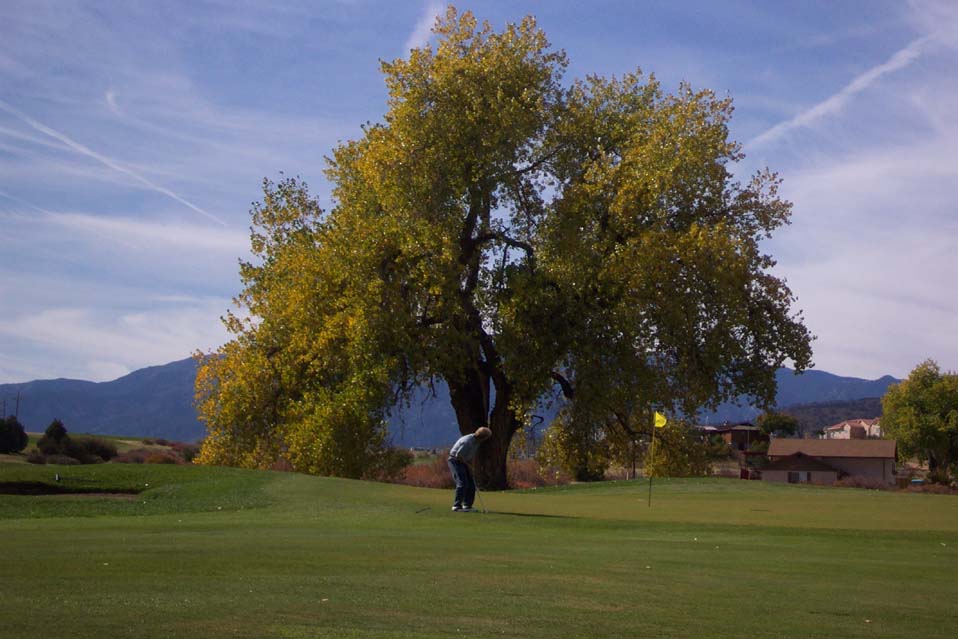 Colorado City, CO : Golfer caught on Hollydot Golf Course, Colorado City, Colorado.