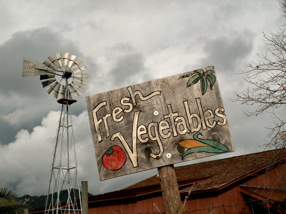 San Luis Obispo, CA : Country Store