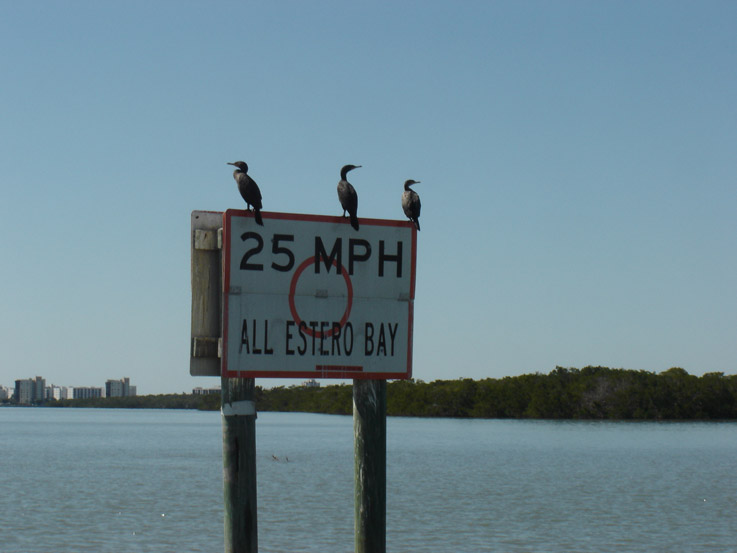 Bonita Springs, FL : Estero Bay - Wildlife & Regulations Together.