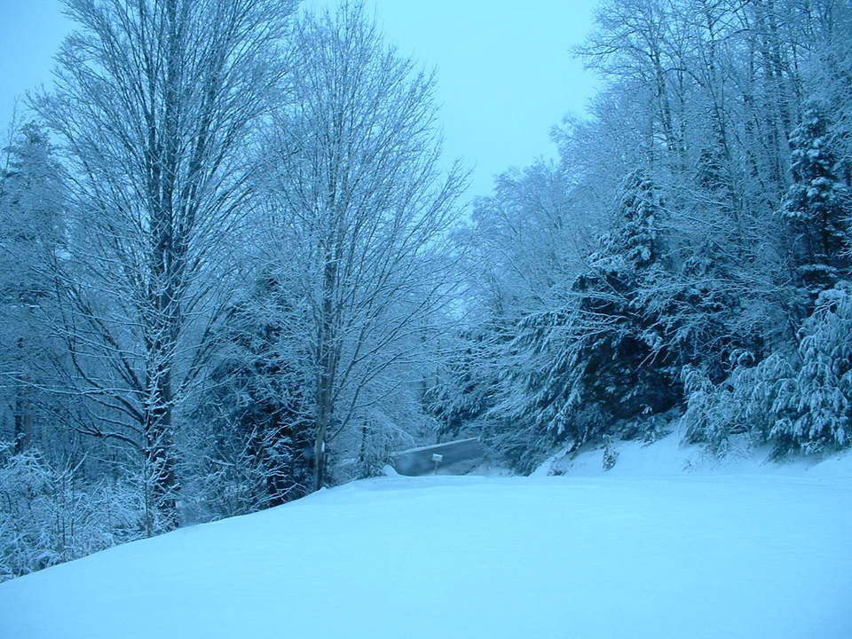Grantham, NH Grantham Snow Unlike Any Other photo, picture, image