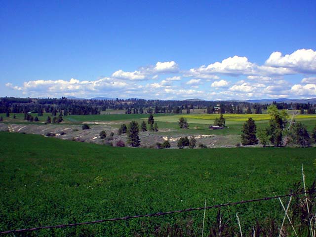 Stevensville, MT: View from my neighborhood in Stevensville (eastside) June