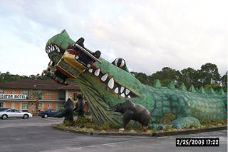 Kissimmee, FL: Gator