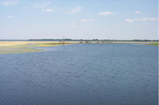 Kissimmee, FL 