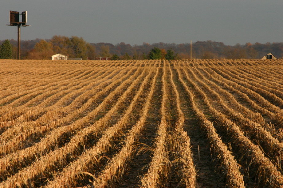 Clinton, IN : Clinton, IN--Farmland a couple minutes from city limits