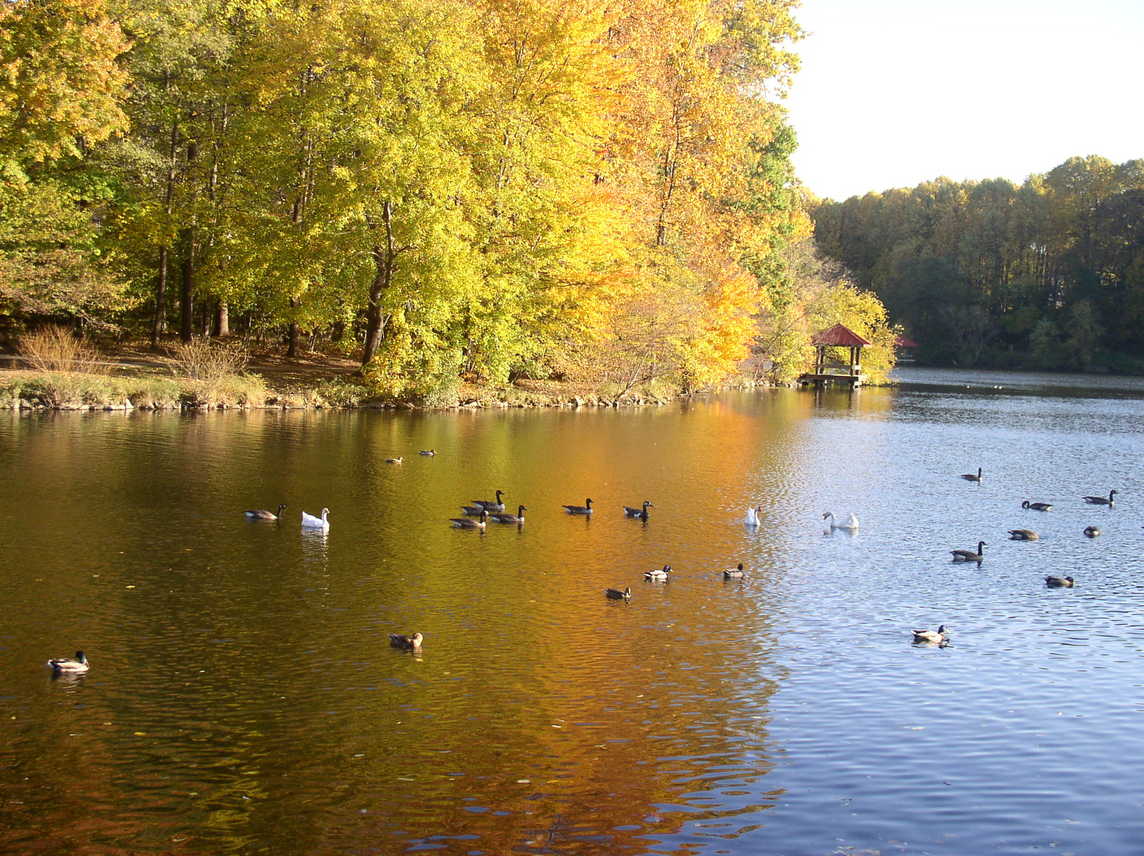 Columbia, MD: Lake Elkhorn, Columbia, in autumn