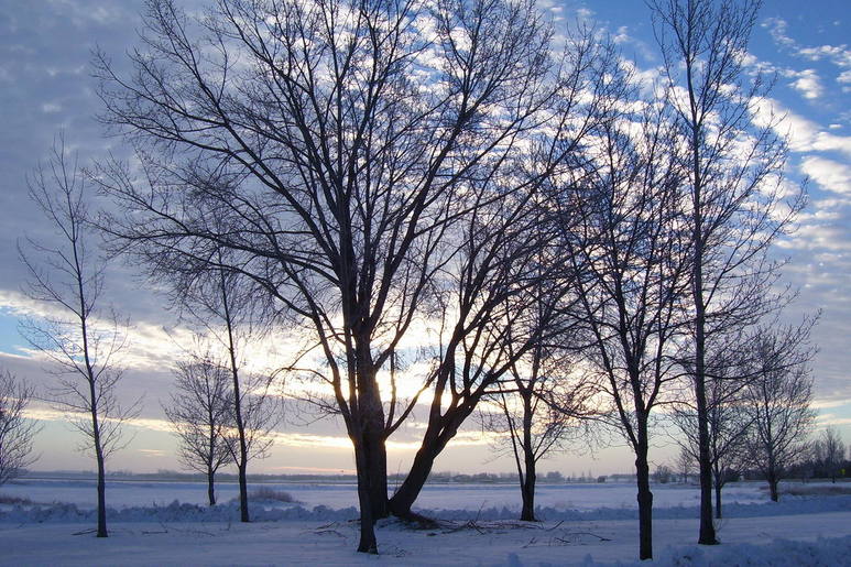 Watertown, SD: A January sunrise as seen from Forseburg (sp?) Park by Lake Kampeska.