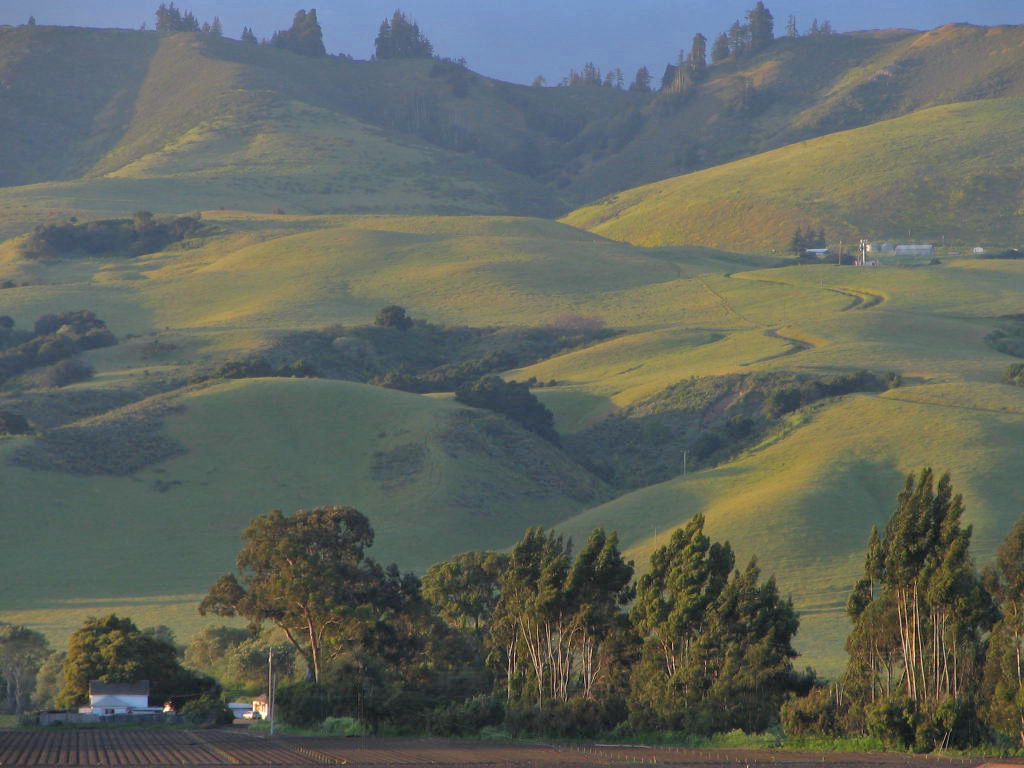 Aromas, CA: Aromas Hillside at Sunset