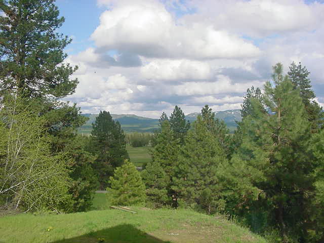 Cascade, ID: A view from our living room window.