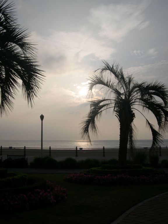 Virginia Beach, VA : VIRGINIA BEACH SCENES