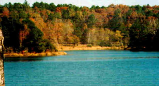 Brandon, MS: Lake in Robinhood 5 miles from Brandon city limits