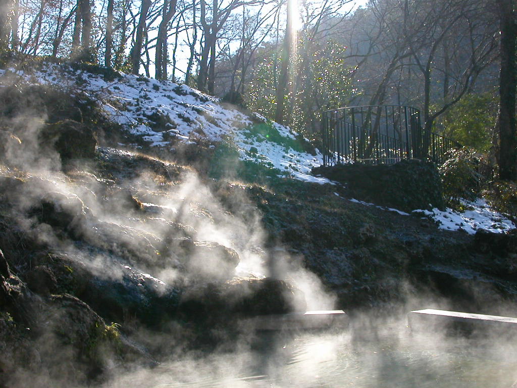 silver screen hot springs ar