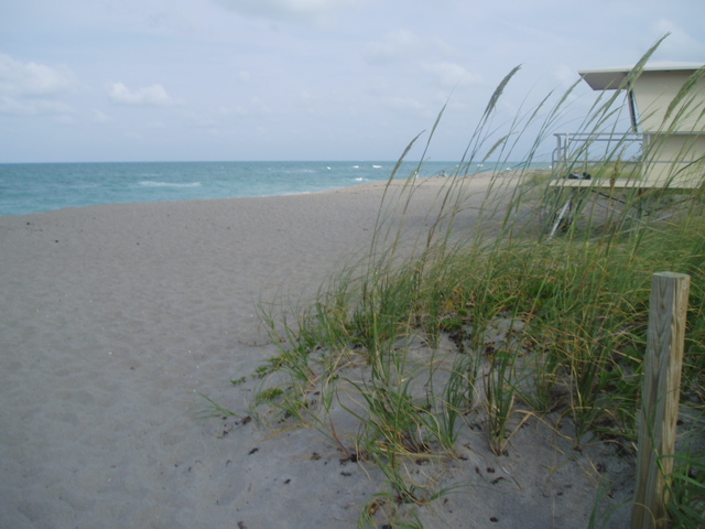 Hobe Sound, FL: Hobe Sound beach