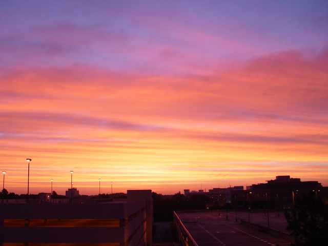 Tampa Fl Sunrise Over North Tampa Photo Picture Image