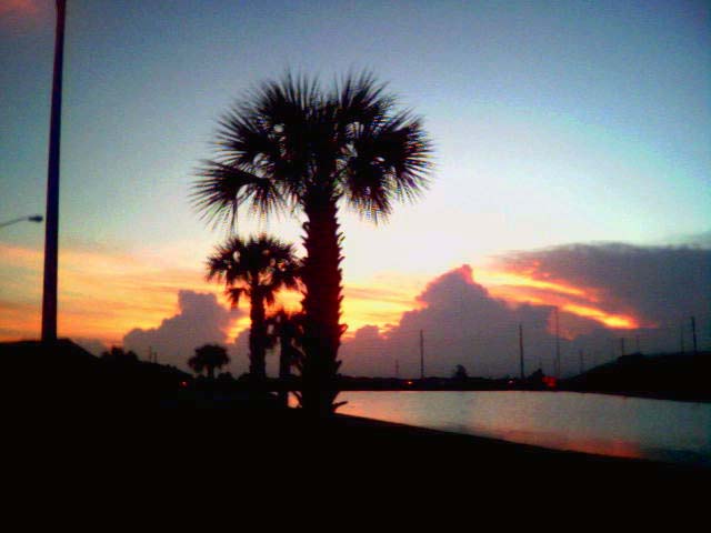 Meadow Woods, FL : Sunset