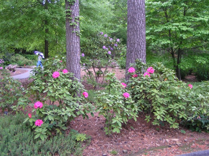 Birmingham, AL : Birmingham Garden