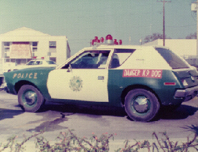 Borger, TX: k9 police car st.pete police florida