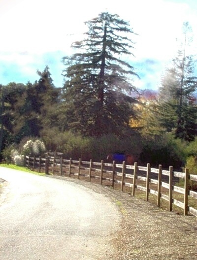 Woodside, CA: country life