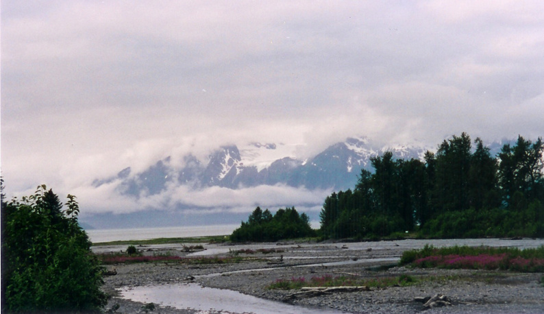 Valdez, AK: Mineral Creek running into the bay
