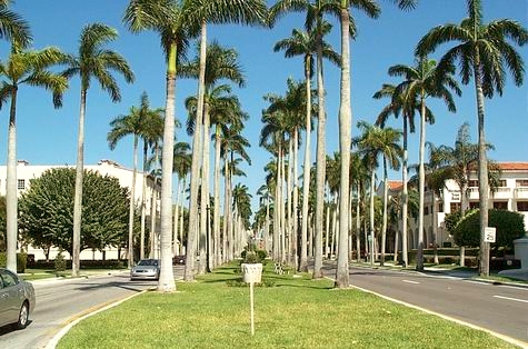 Palm Beach, FL : Palm Beach 4