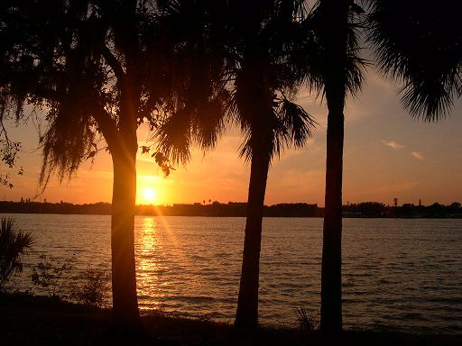 Tampa, FL: Tampa sunset