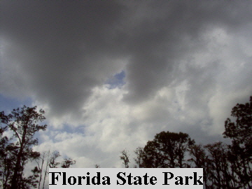 Clermont, FL : Lake Louisa State Park , Clermont Florida