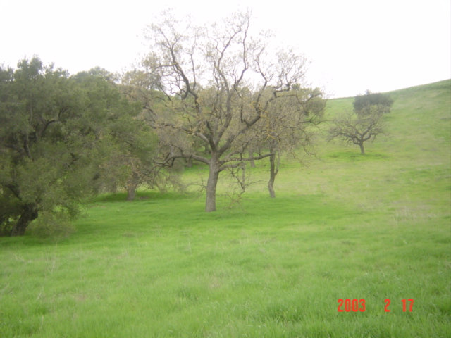 Agoura Hills, CA: More hills behind Cheesbro Road in Old Agoura