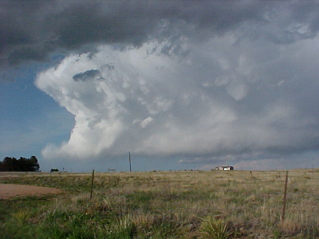 Elizabeth, CO: Storm Brewing over Elizabeth June 2005