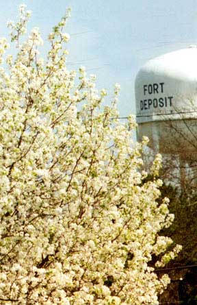 Fort Deposit, AL : Welcoming sight