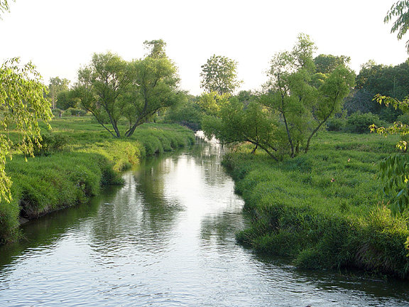 Shoreview, MN: Rice Creek