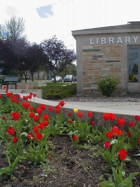 Le Sueur, MN : A shot of the Le Sueur Public Library in the spring.