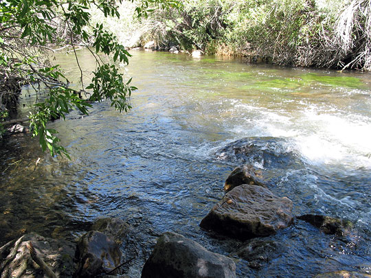 Ogden, UT: Ogden River