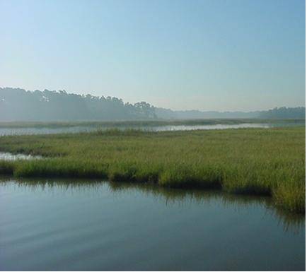 Smithfield, VA: Pagan River - Misty Morning