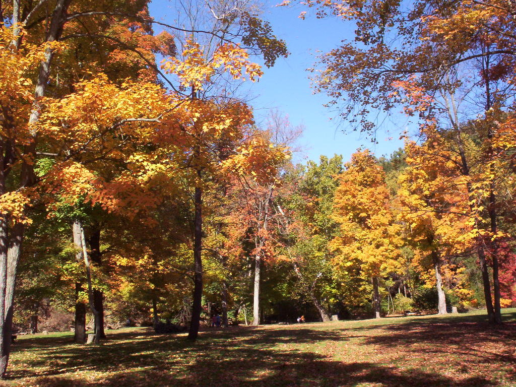 Beaver Falls, PA: Beautiful Fall at Brady's Run, Beaver Falls,Pa 2004