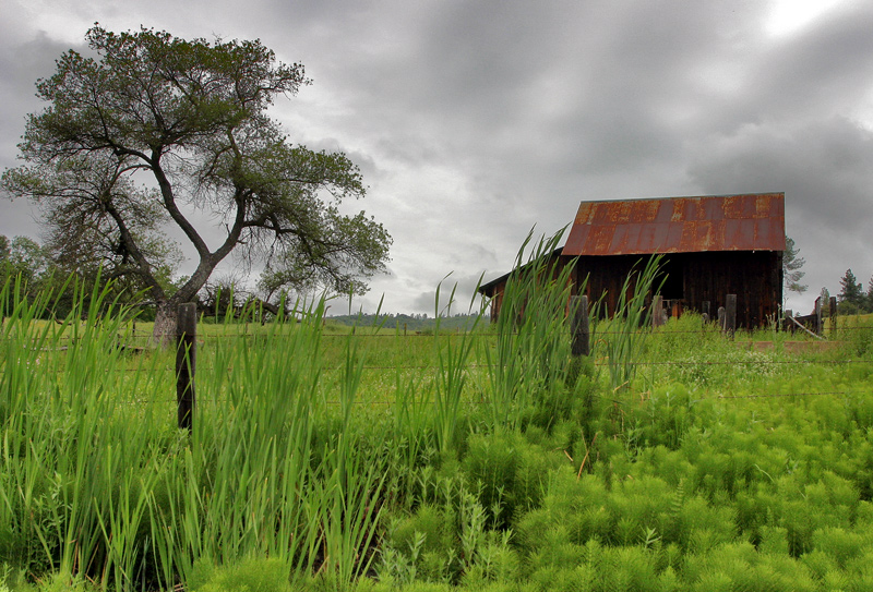 Jackson, CA : East Clinton Road