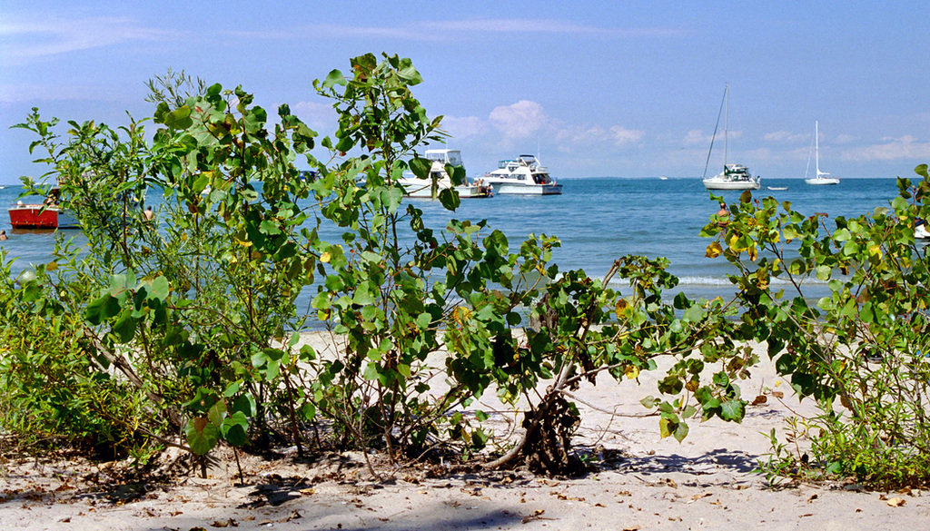 Toledo, OH: Lake Erie Beach at Kelley's Island