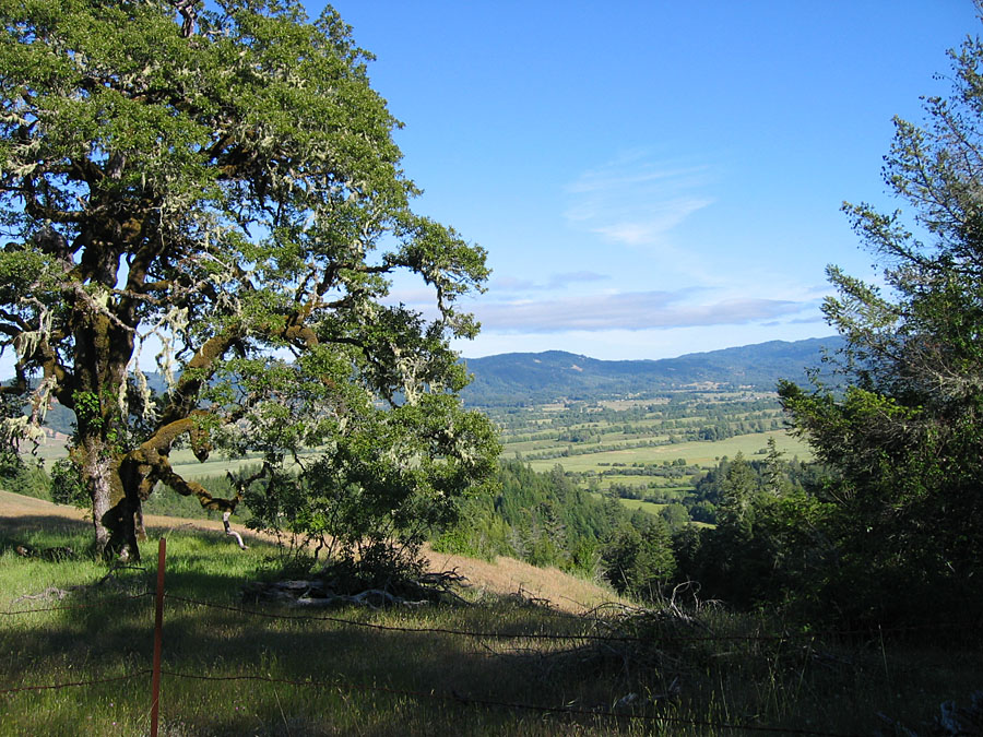 Willits, CA : Above the northern end of Little Lake Valley looking to the southeast