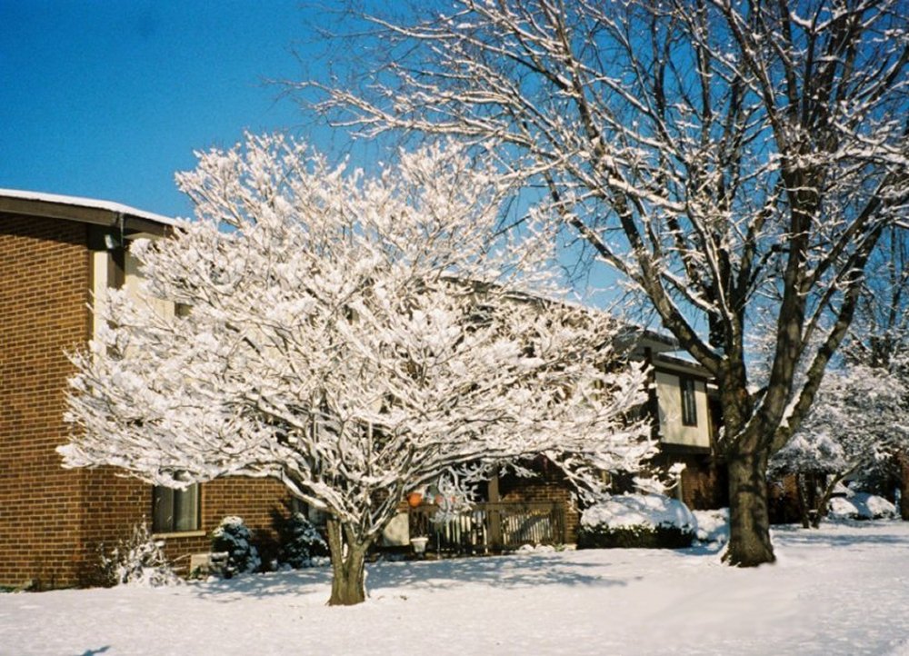 Crystal Lake Il Somerset Condominiums Crystal Lake Il Photo Picture Image Illinois At