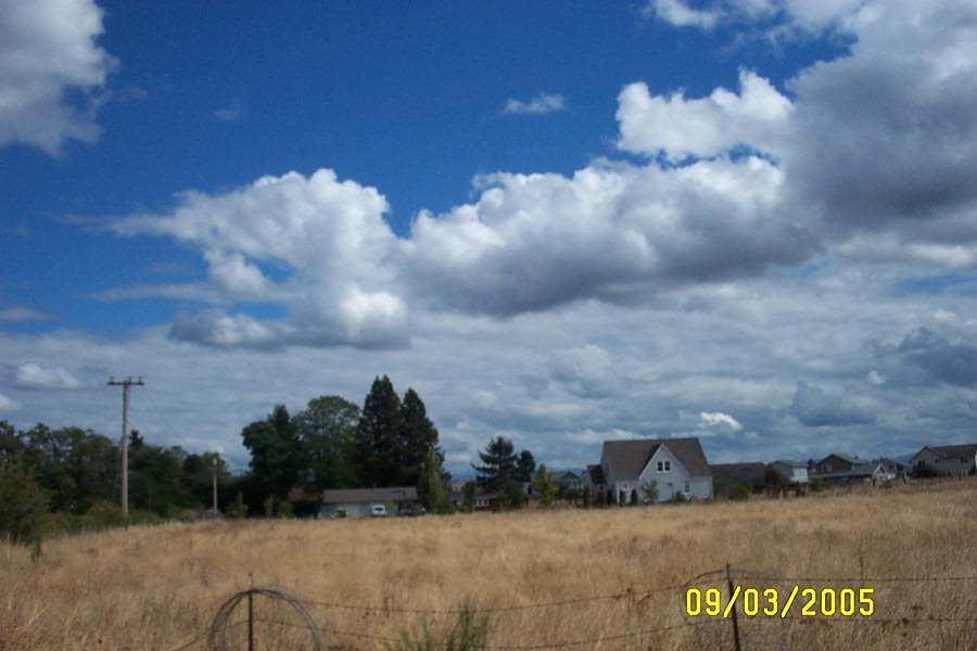 Yelm, WA: yelm houses just a few blocks off the main road