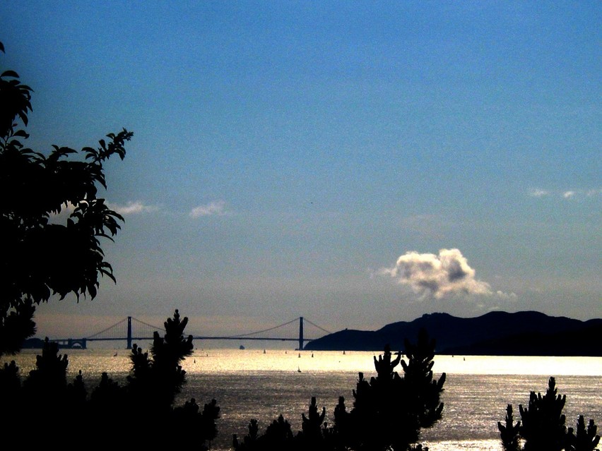 Albany, CA SF BAY FROM ALBANY HILL photo, picture, image (California) at