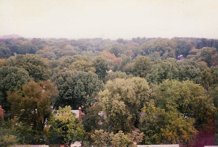 Bethesda, MD: Trees over residential area in Bethesda