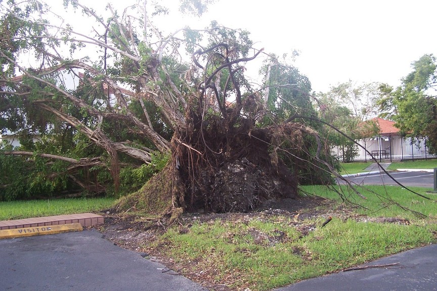 Fountainbleau, FL : KATRINA