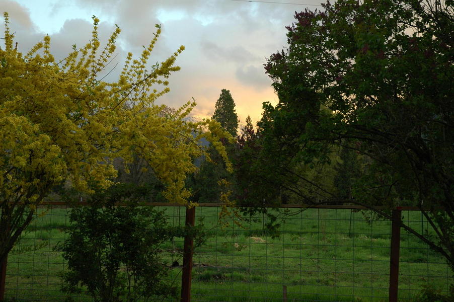 Talent, OR : Spring Sunrise on the Farm