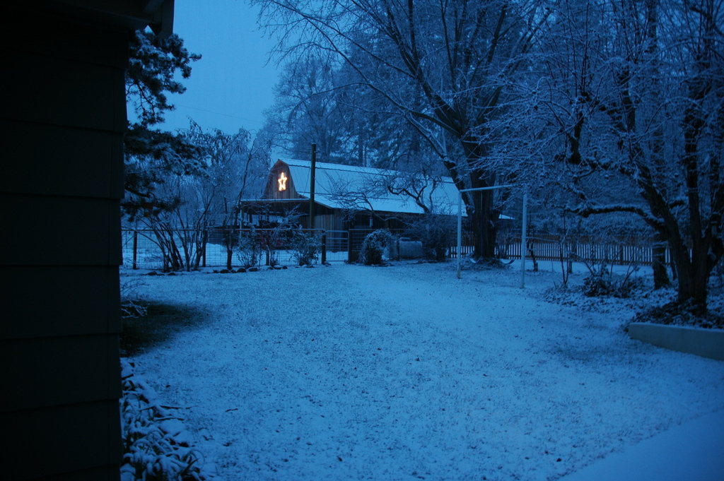Talent, OR : Silent Night on the Farm